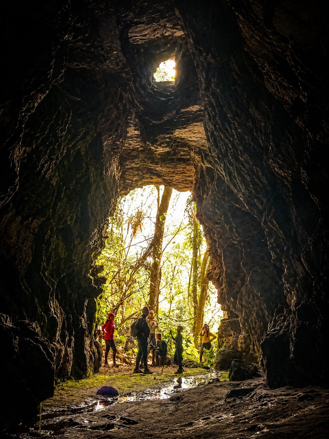 Caverna Andorinhas  — PARQUE ESTADUAL SERRA DOS MARTÍRIOS - ANDORINHAS em São Geraldo do Araguaia, Pará