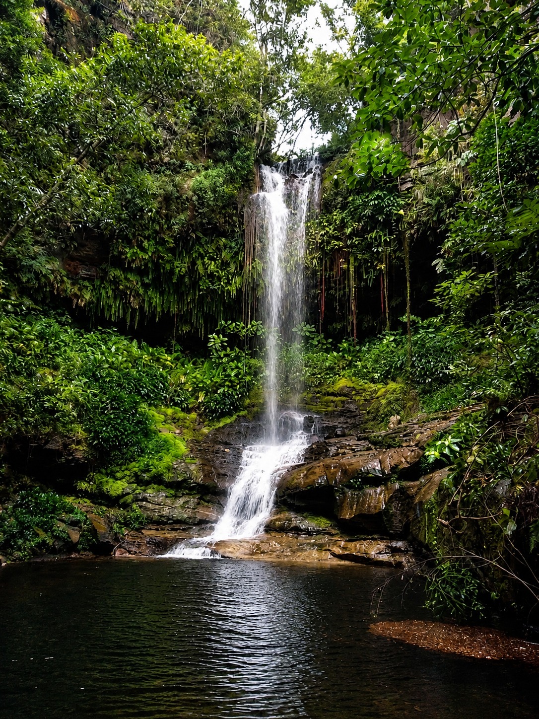 Cachoeira Riacho Fundo